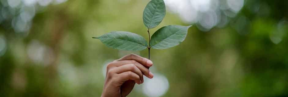 Responsabilidad ciudadana ante el medioambiente