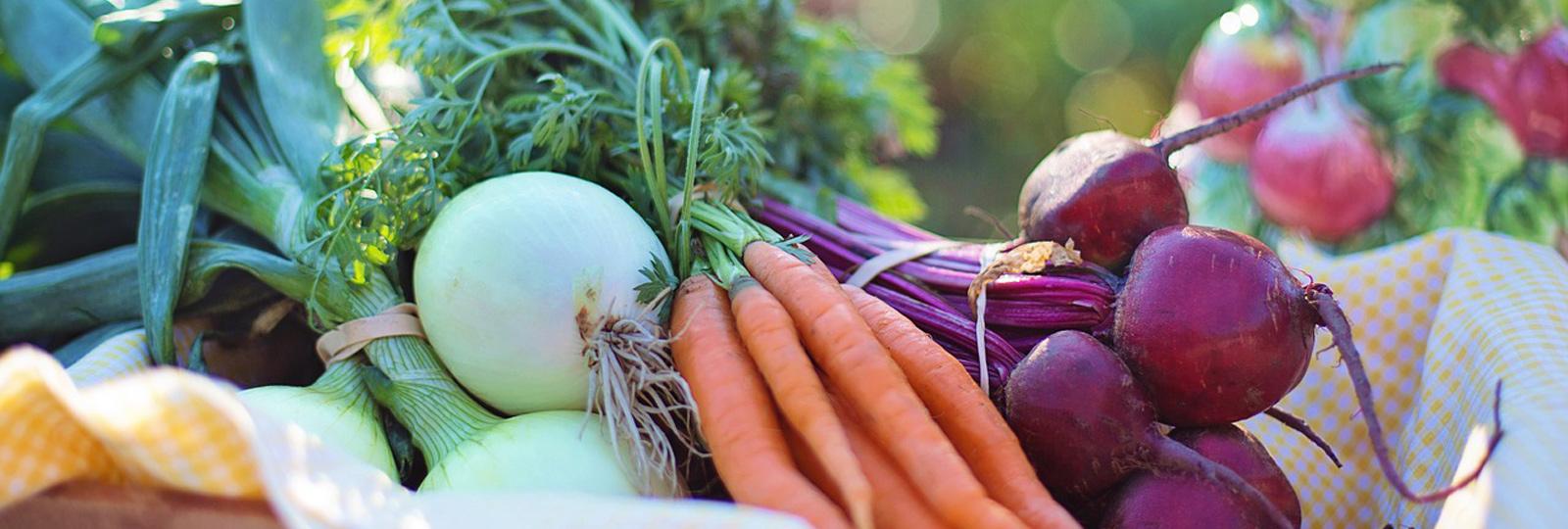 Ninguna dieta es perfecta, pero sí podemos conseguir que sea más sostenible y saludable