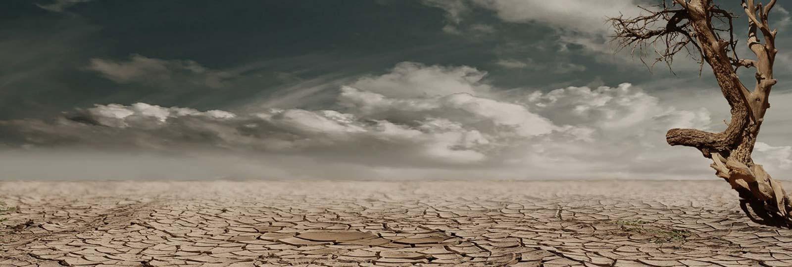 Adaptar la producción a la Economía Circular. Repensar antes de Reducir