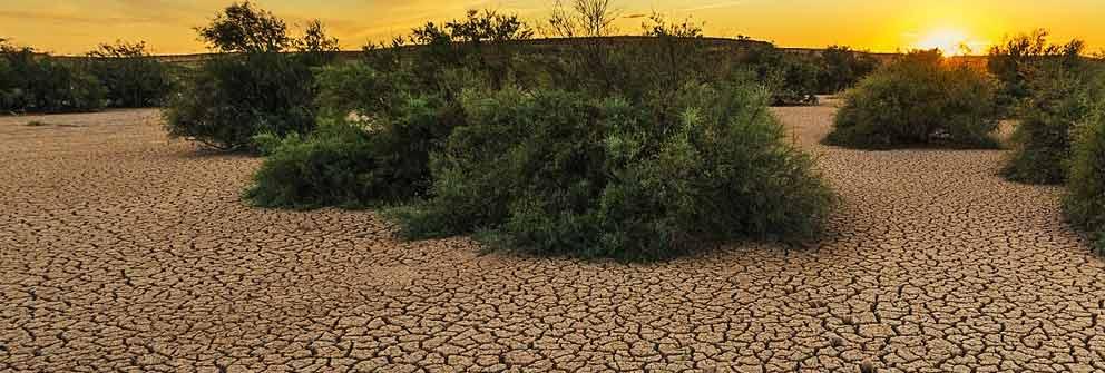 ¿Cuál es el reto más importante al que se enfrenta el medioambiente?