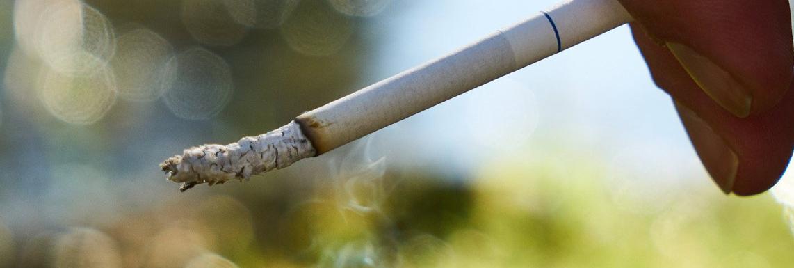 Efectos del tabaco en el medioambiente