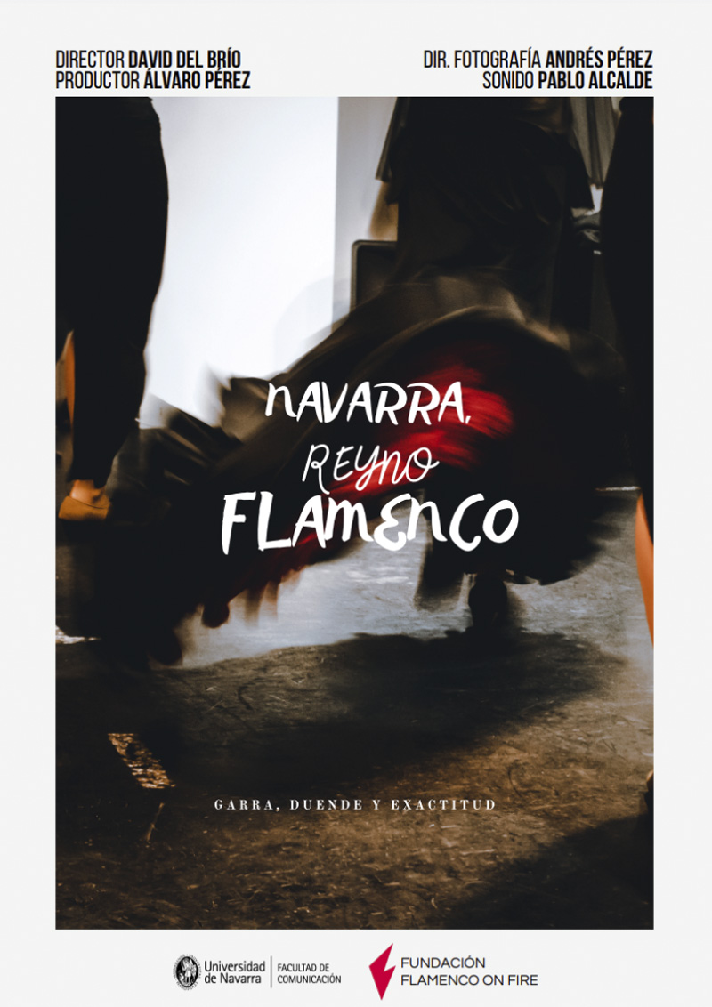 Navarra, Reyno Flamenco