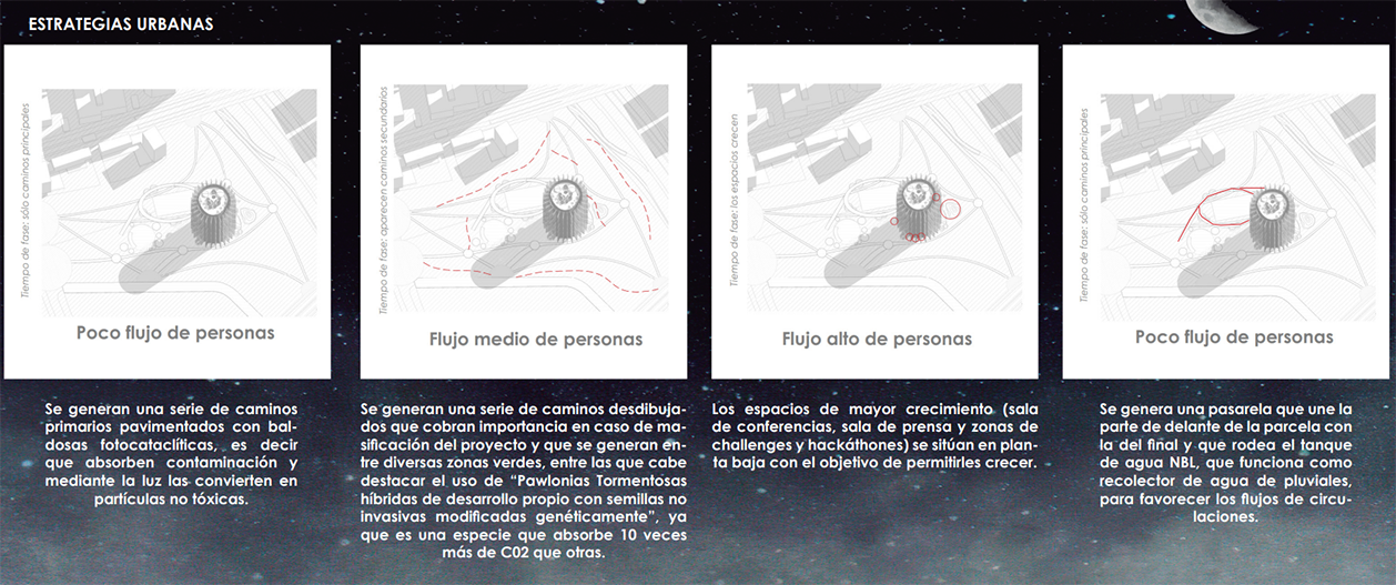 Proyecto de Cristina Campillo