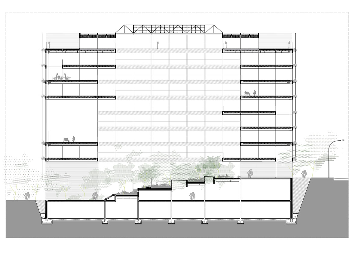 Proyecto de María Lasa