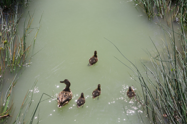 Doctorado en Biología y Medio Ambiente