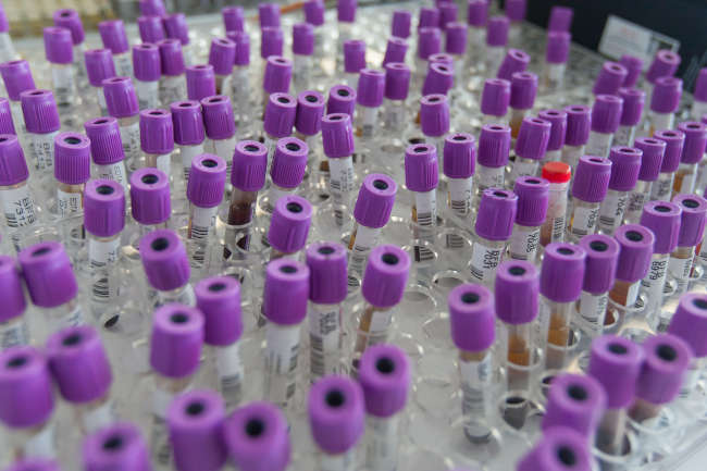 Doctoral Program in Chemistry