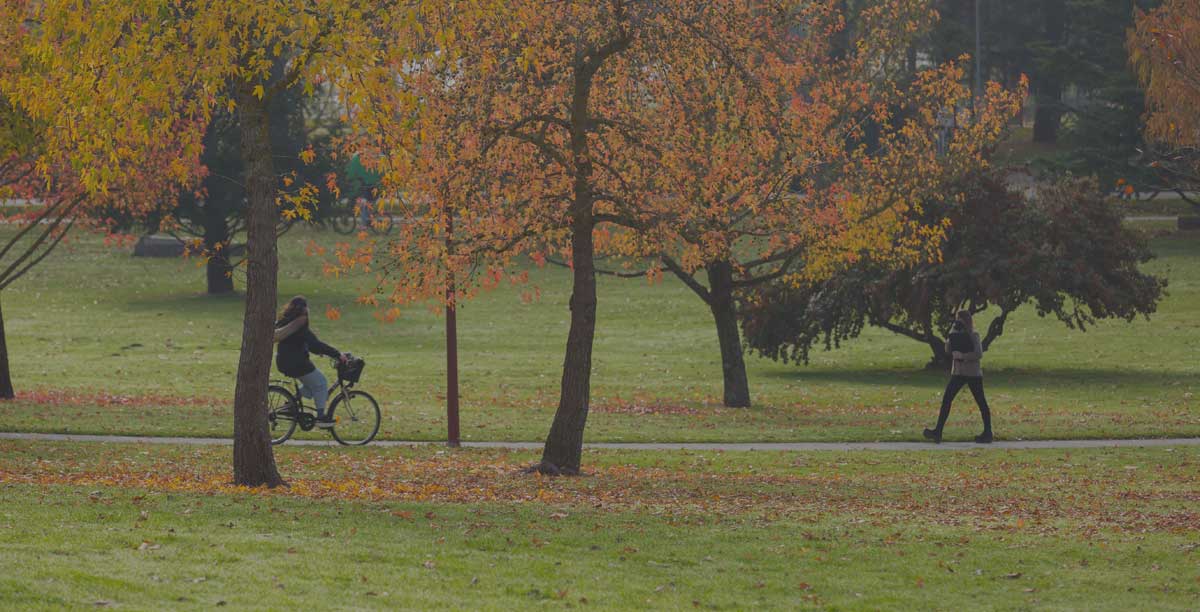 Centro Humanismo Cívico