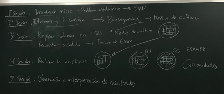 Metodología Metodología