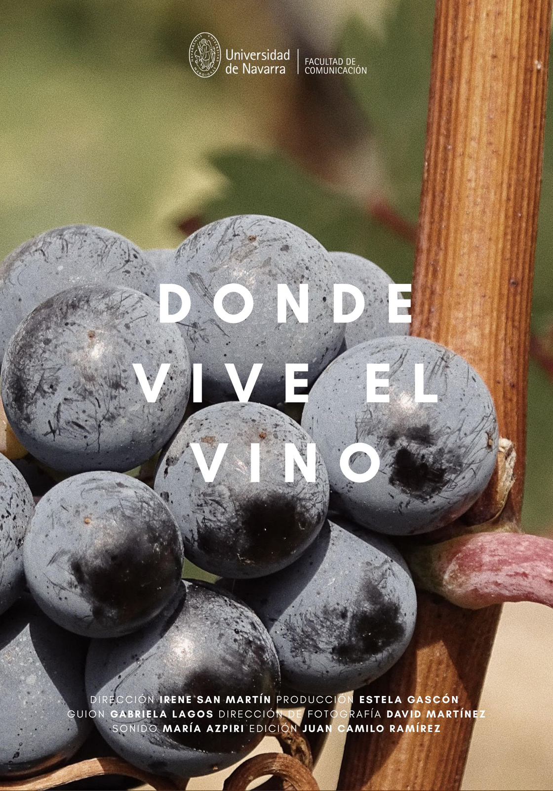 Donde vive el vino