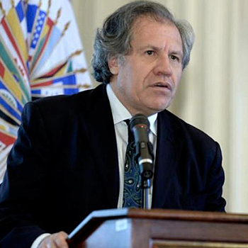 D. Luis Almagro D. Luis Almagro