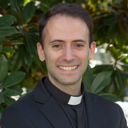 Prof. D. Miguel Brugarolas