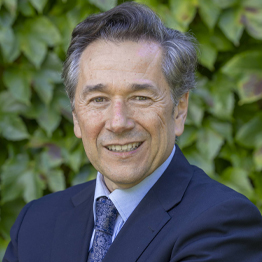 D. Rafael Navarrete