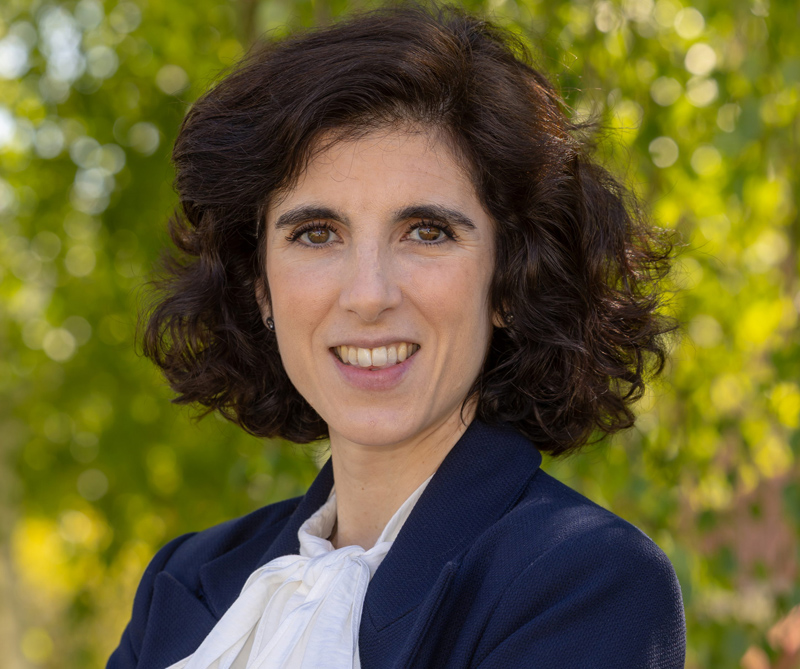 Redín Goñi, Dulce