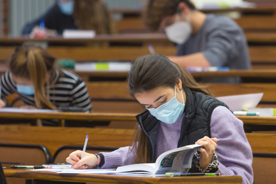 6 nuevos diplomas de especialización