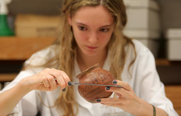 Diploma en Arqueología