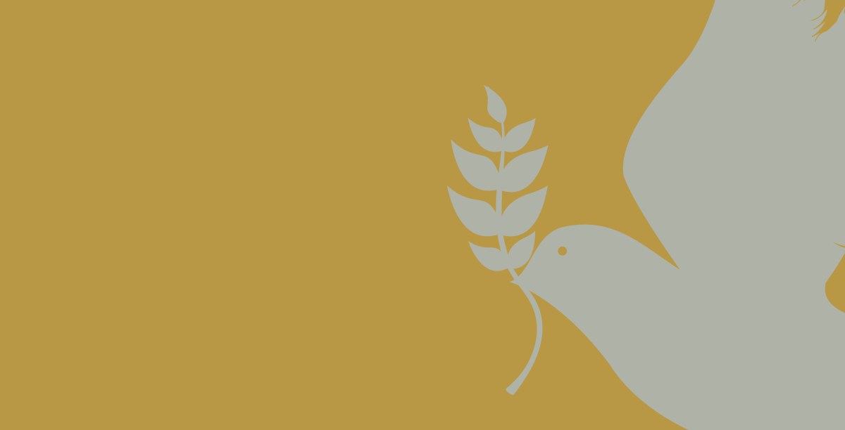 Historia Play. La Historia en 7 minutos