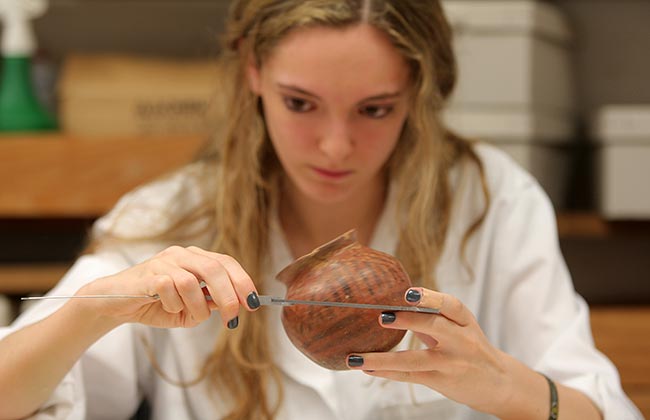 Diploma en Arqueología