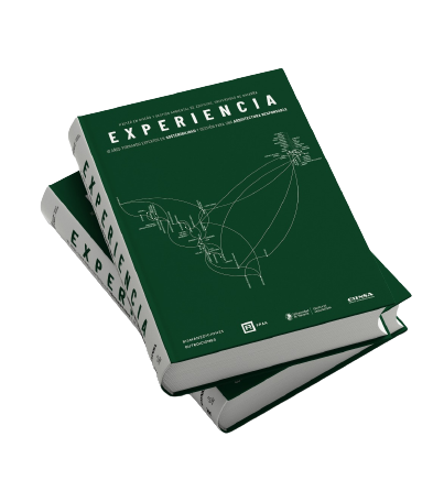 Libro Experiencia