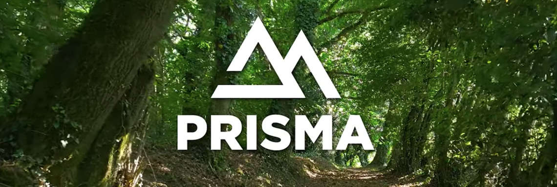 La Universidad presenta ante empresas navarras de la industria de la madera los avances del proyecto PRISMA