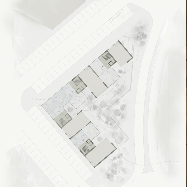 Curso de Construcción en Madera en el Parque Natural de Señorío de Bertiz