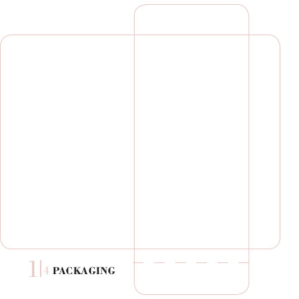 Packaging Packaging