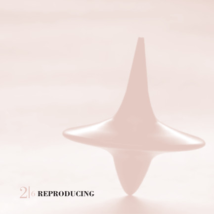 Reproducing Reproducing