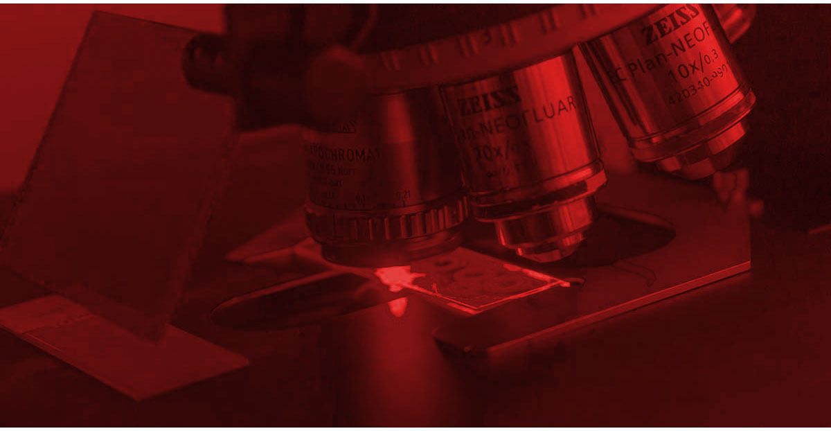 Máster Universitario en Investigación Biomédica Máster Universitario en Investigación Biomédica