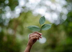 Responsabilidad ciudadana ante el medioambiente