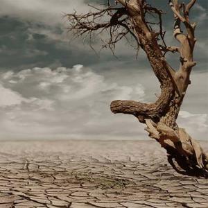 Adaptar la producción a la Economía Circular. Repensar antes de Reducir