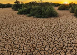 ¿Cuál es el reto más importante al que se enfrenta el medioambiente?