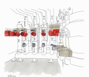 "Illustrated Anatomy": Sharing Knowledge Through Illustration