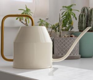 The 4th grade students of Degree at design present their first project of photography.