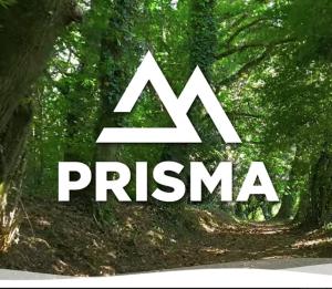 La Universidad presenta ante empresas navarras de la industria de la madera los avances del proyecto PRISMA