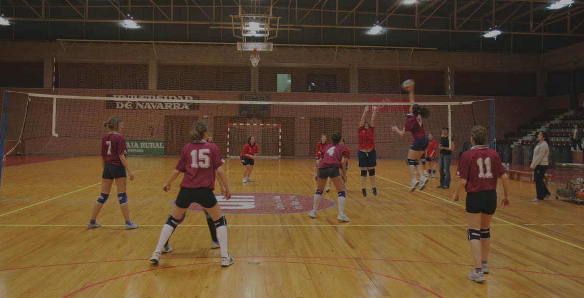 Voleibol