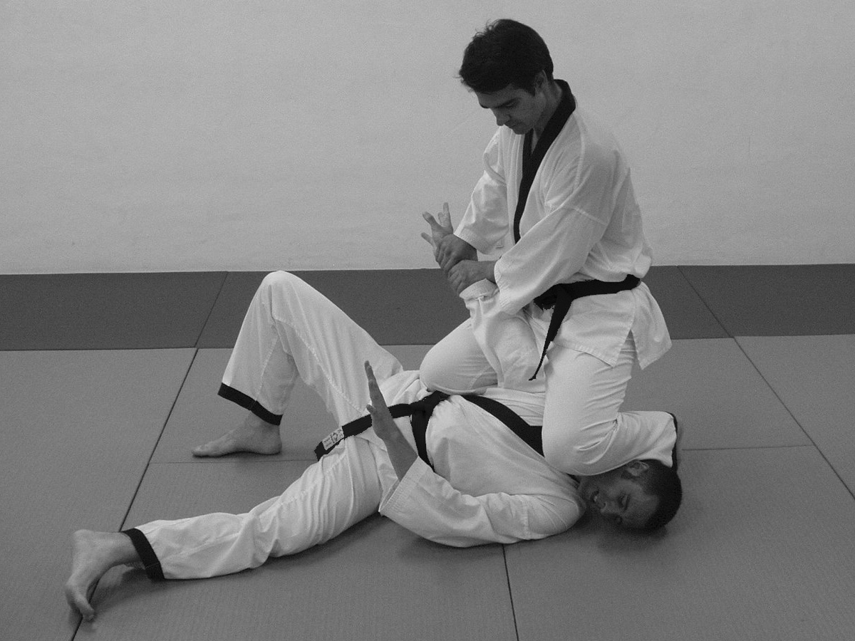 Defensa personal - Hapkido