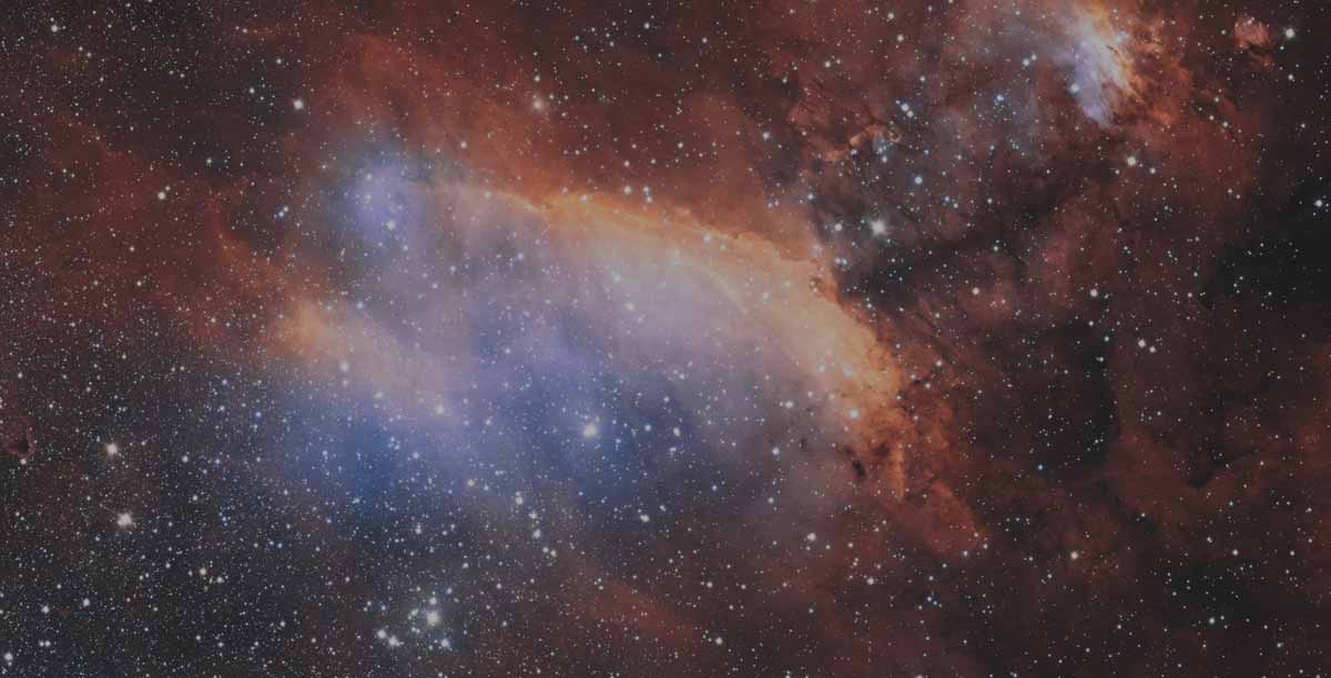 I Congreso Society of Catholic Scientists