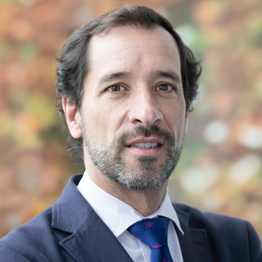 Javier Ilardia