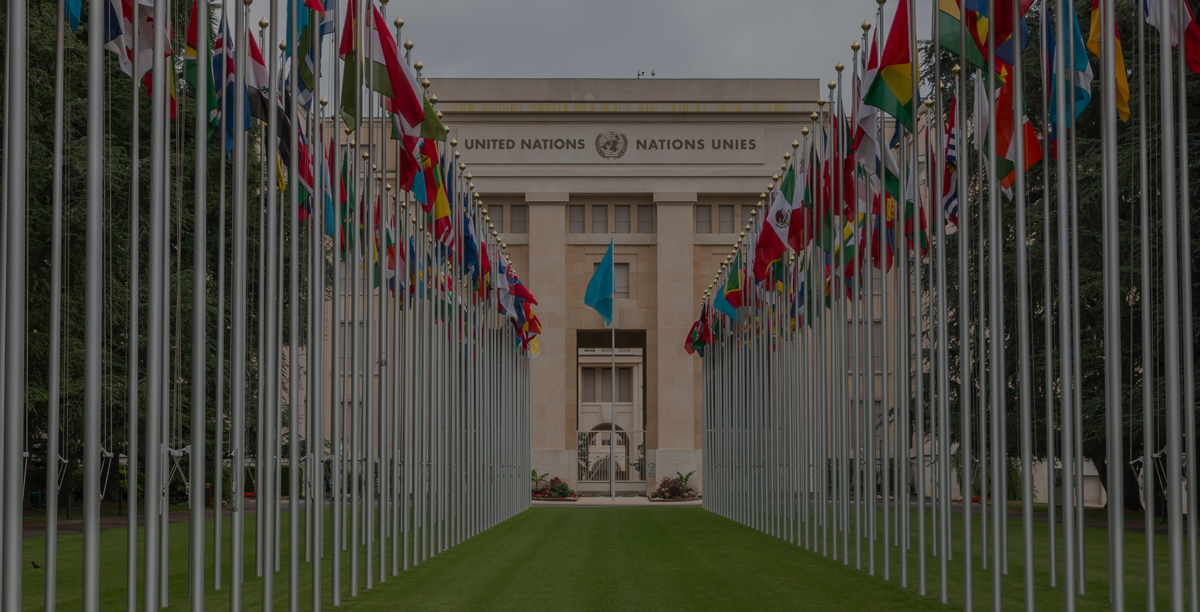 Diplomacy & MUN Club