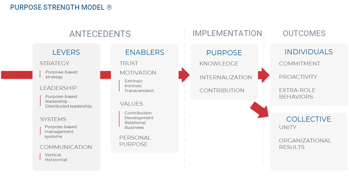 Purpose Strength Model®. Our tools. Purpose Strength Project ...