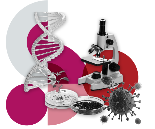 Salud y Biomedicina