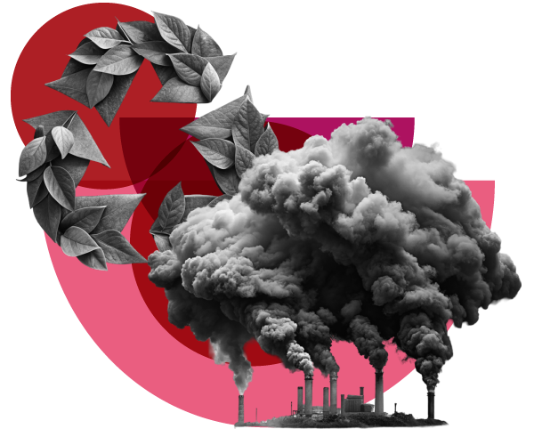 Medioambiente y sostenibilidad