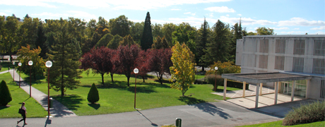 Campus Pamplona Campus Pamplona