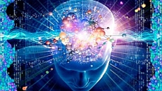 Neurociencia y mecánica cuántica