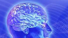 Algunas consideraciones sobre la problemática relación entre cerebro y libertad