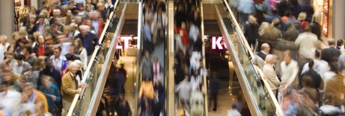 Optimal excise taxation: theoretical analysis, empirical estimation, and policy recommendations with tax-collection and environmental implications.