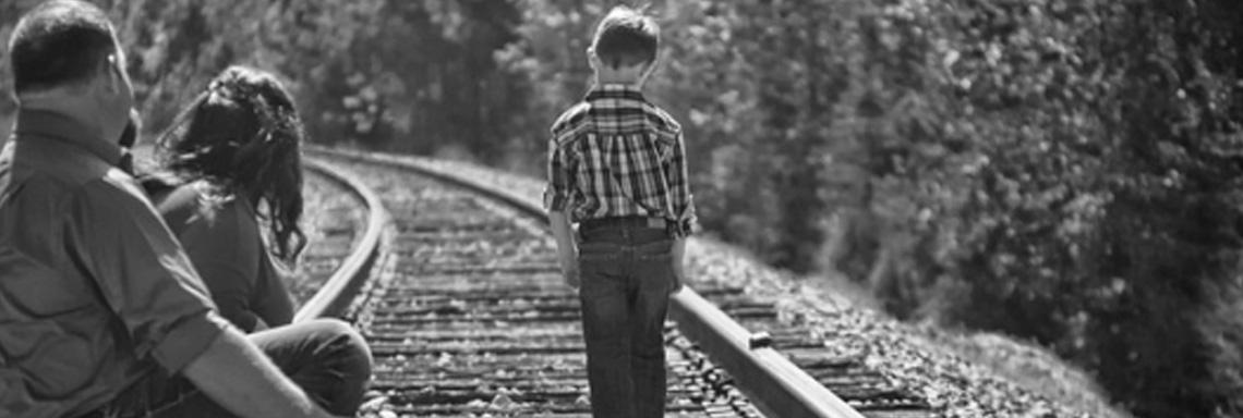 Caminos hacia la prosperidad: Interacciones entre Estado de Derecho, Libertad Económica y Política