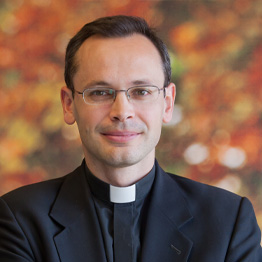 D. Fernando Milan