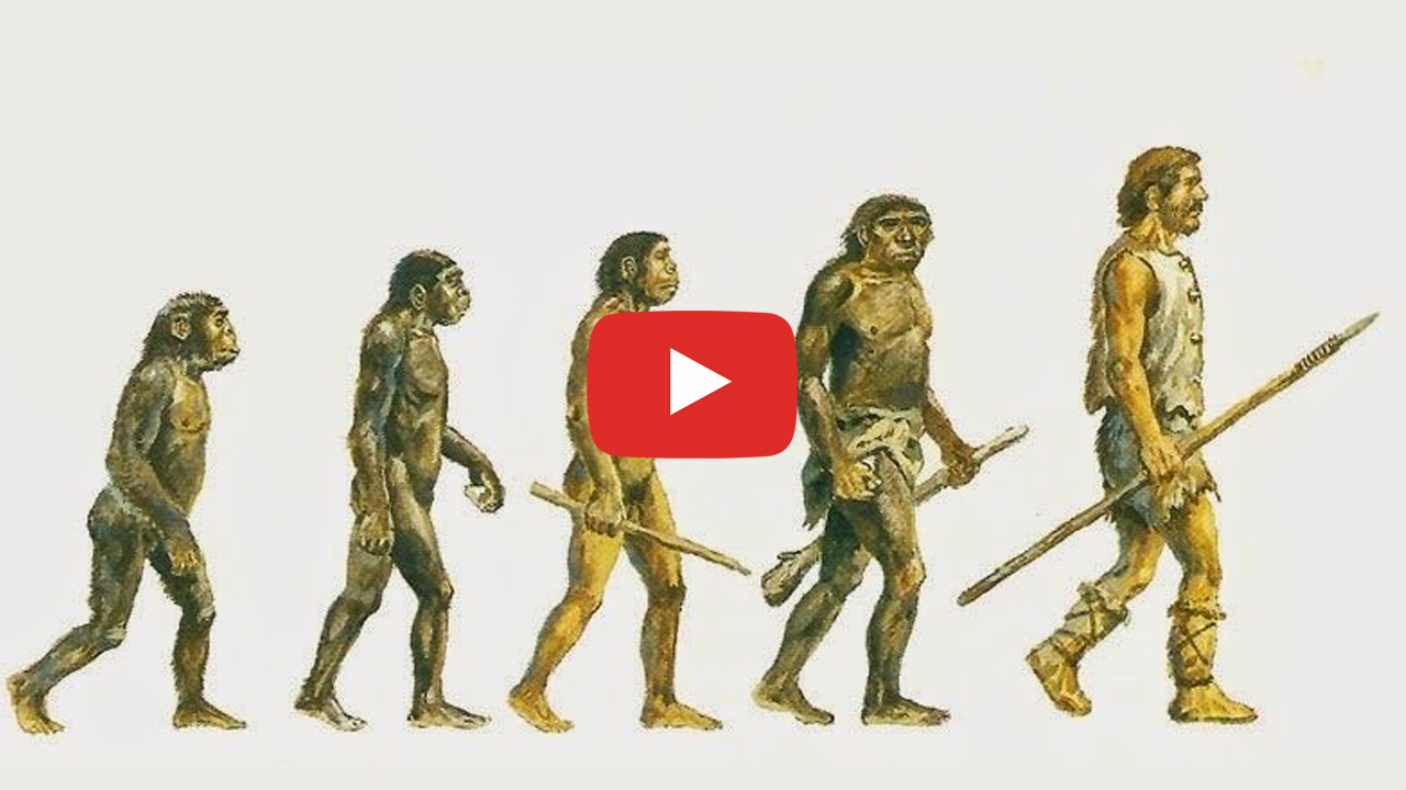 Evolución