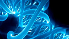 ¿Puede la biología reducirse a la física? Una aproximación desde la filosofía de Charles Sanders Peirce