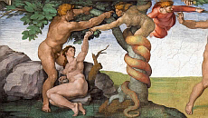 Evolución humana y origen de la primera pareja